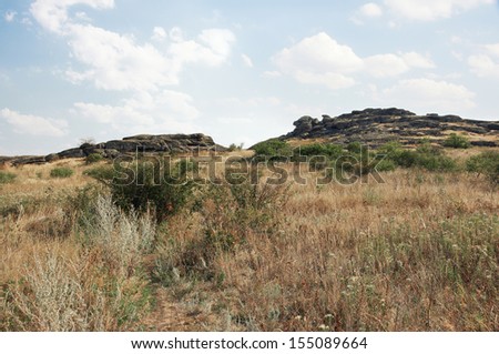 Steppe landscape with wild vegetation on a background of blue sky with clouds