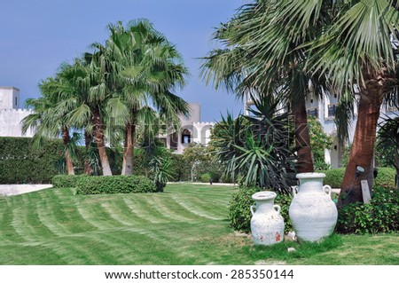 Landscape Design. Clay pots stand on a lawn on a background of palm trees