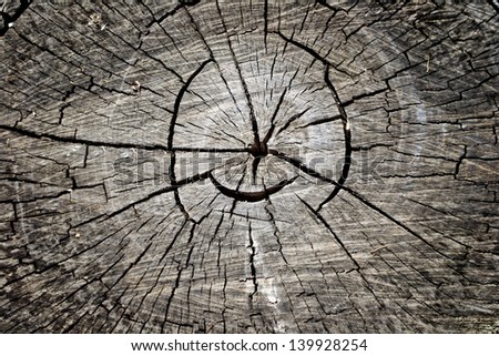Wooden texture. It is possible to use as a background