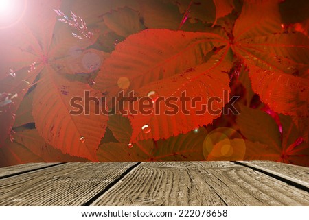wood textured backgrounds in a room interior on the field backgrounds leaves