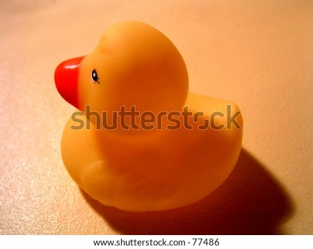 single rubber ducky