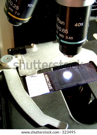 microscope and slide