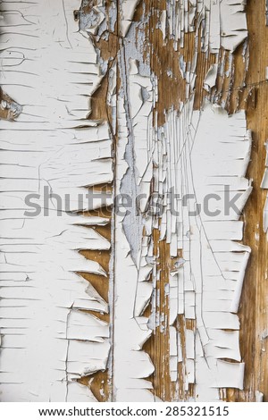 background - cracked paint on the wooden doors