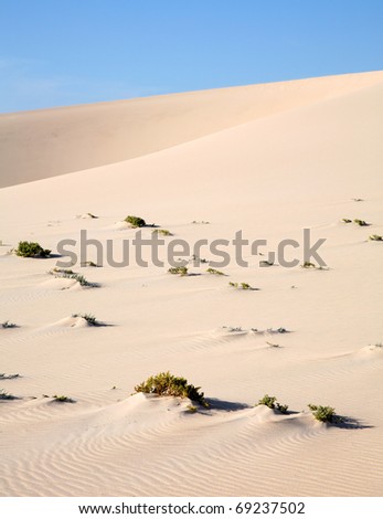 Remote isolated sand dune in the Western Sahara