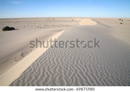 Remote area of the Sahara, Mauritania.