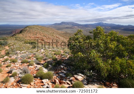 The slope of Mount Sonder, in the West MacDonnell national park in central Australia.