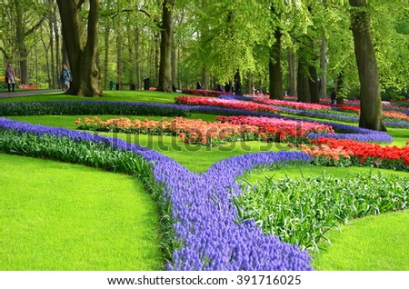 Keukenhof garden, Netherlands -May 10: Colorful flowers and blossom in dutch spring garden Keukenhof which is the world\'s largest flower garden. Keukenhof Garden, Lisse, Netherlands - May 10, 2015