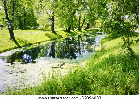 Old pond in the forest with the sun shining (water vegetation)