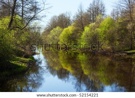 Spring scenery. Trees are reflected in smooth of water