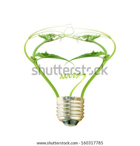 Vine of the bulb. the concept of clean energy isolated on white