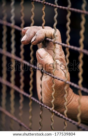 dramatic  hands  man inside mesh cage