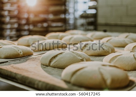 Dessert bread baking in oven. Production oven at the bakery. Baking bread. Manufacture of bread.