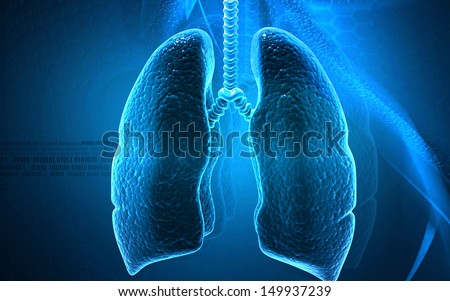 Digital illustration of human lungs in colour background Digital illustration of human lungs in colour background