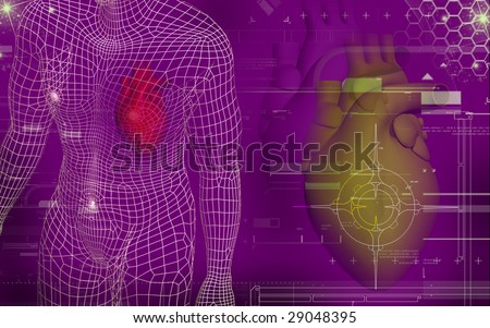 of heart and human body human body heart. of heart and human body