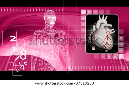 of heart and human body in human body heart. of heart and human body in