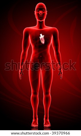human body heart. of human body and heart in