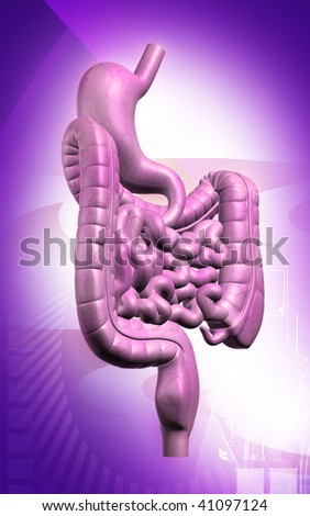 excretory system diseases. /Excretory system diseases fotos || ppt excretory system earthworm/