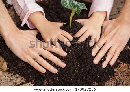 Hands of a mother and her daughter planting together.