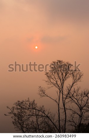 During Fire Smoke crisis on the North of Thailand, I see a little sun on the sky. Wind is fast but smoke is much more than wind can flow it away. But Sun still Sun, power of light can go through.