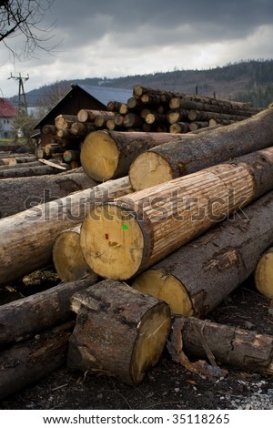 Lumber mill with wood storage, visible big trunk.