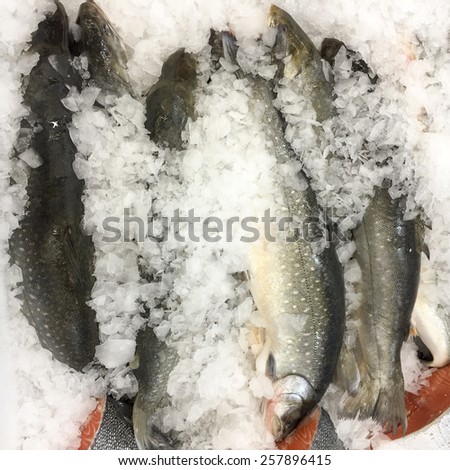 Raw fish on ice, sale seafood, fresh frozen fish background