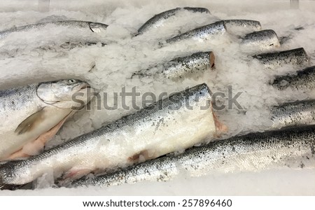 Raw fish on ice, sale seafood, fresh frozen fish background