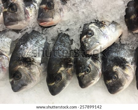 Background Of Fresh Sea Fish Fishing Food Frame Stock Photo