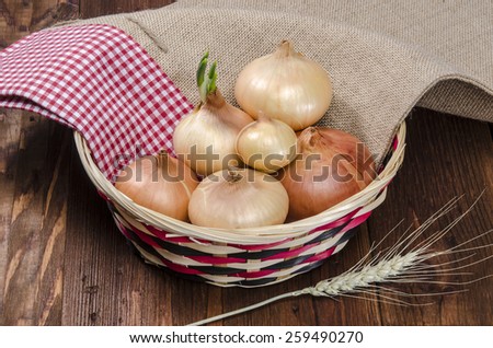 Red onions in rustic wicker basket with burlap sack cloth and  wheat ear. Rural or rustic kitchen still life.