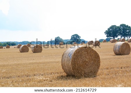 rice straw rolled 03