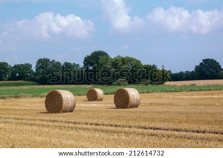 rice straw rolled 02