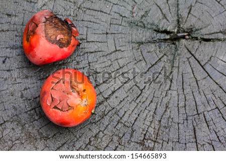 Fruits of Sealing wax palm( Cryrtostachys renda Blum ) on wood.