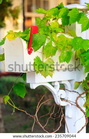 vintage white mailbox with green leaf in garden