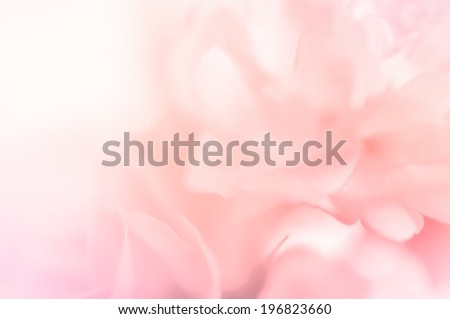 sweet color roses in blur style for background