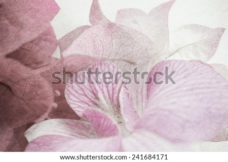 sweet flowers in vintage color style on mulberry paper texture