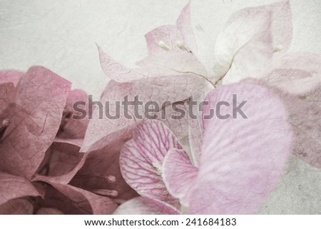 sweet flowers in vintage color style on mulberry paper texture