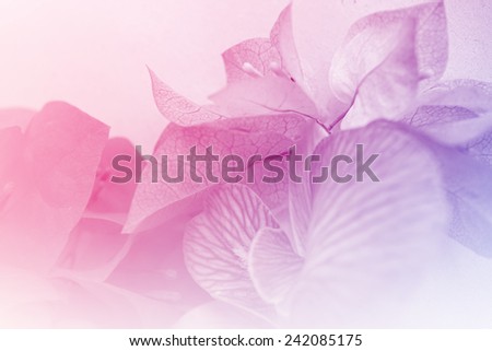 Sweet flowers in soft color style for background
