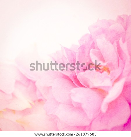 vintage color flowers in soft color style on mulberry paper texture for background