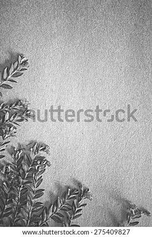 weed flowers in vintage black white color style on mulberry paper texture for background