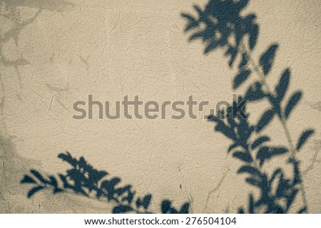 leaf shadow on the wall on mulberry paper texture