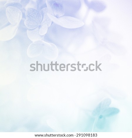 colorful flowers in soft color and blur style for background