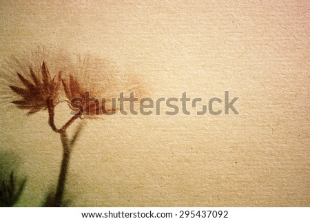 weed flowers in vintage color style on old paper texture for background