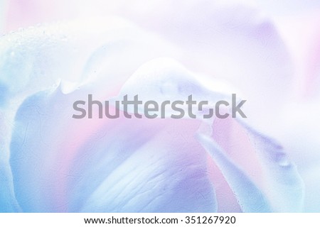 rose petals in winter color style on mulberry paper texture for background