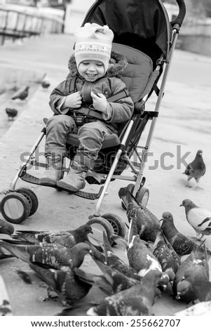 Toddler laughing baby in the stroller looks at pigeons ( black and white )
