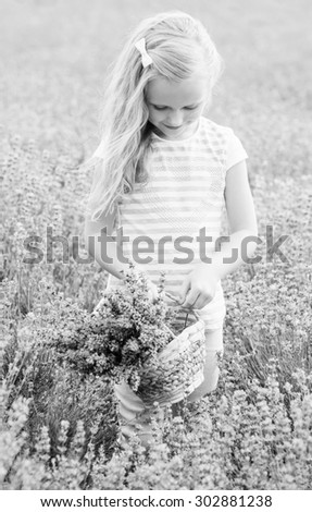cute little girl is going to a lavender field  ( black and white )