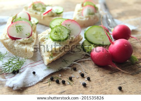 Sandwich with cottage cheese and fresh radish and cucumber in herbs