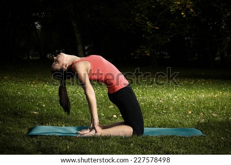 Pregnant lady exercising yoga