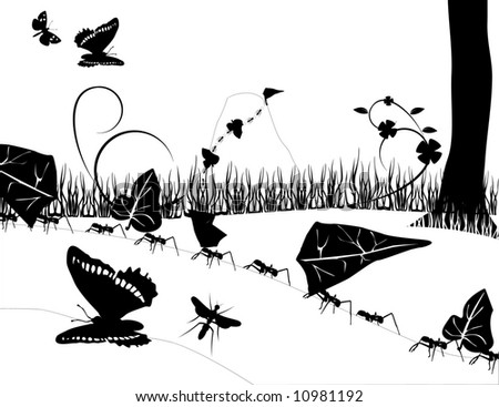 black and white pictures of nature. stock vector : lack and white