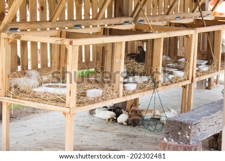 rabbit cage, rabbit house