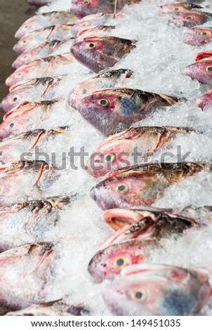 Fresh fish on ice at the sea market