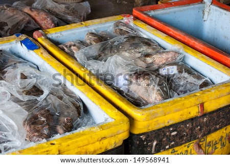 Fresh fish in a plastic bag in a plastic bucket